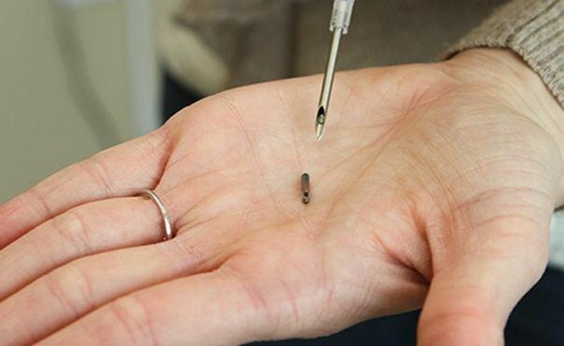 Чипировать. Микрочип для собак. Чипировать. Чипирование собак. Чипирование животных.